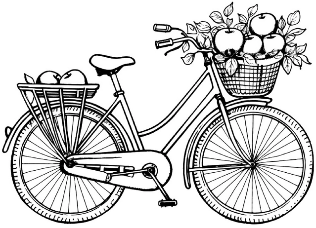 malvorlage-fahrrad-mit-aepfeln-im-korb