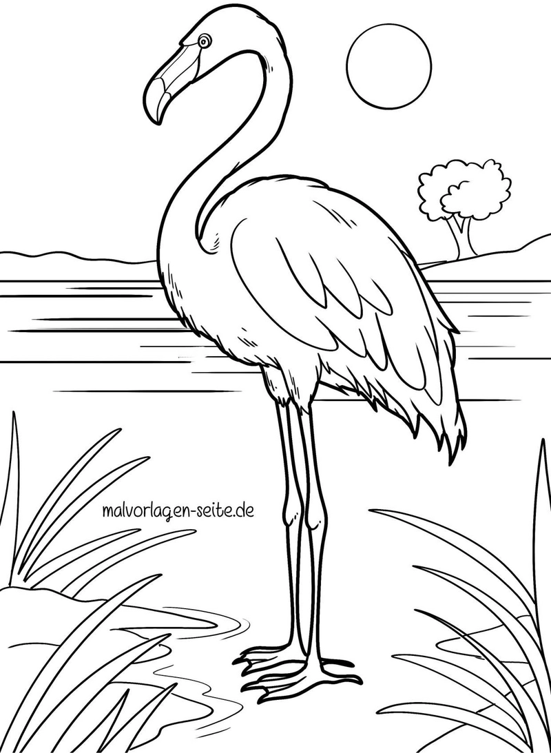 malvorlage-flamingo-am-ufer-mit-sonne-und-baum