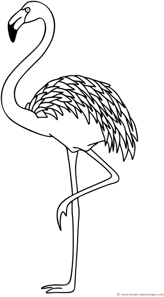 malvorlage-flamingo-ausmalen-ideen