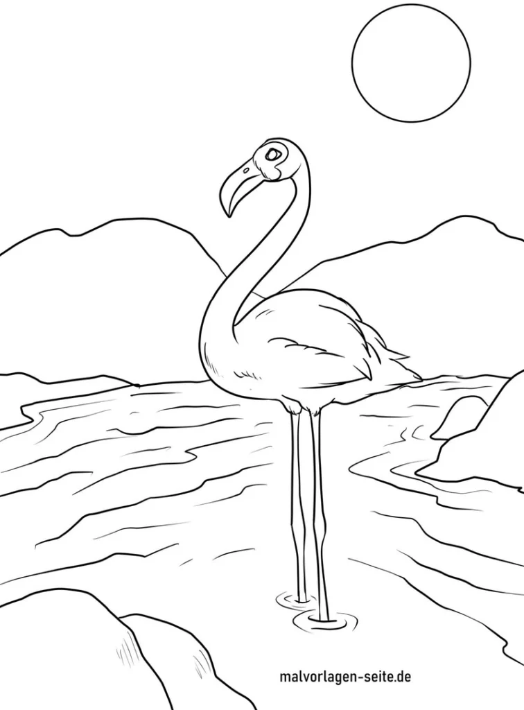 malvorlage-flamingo-in-der-natur