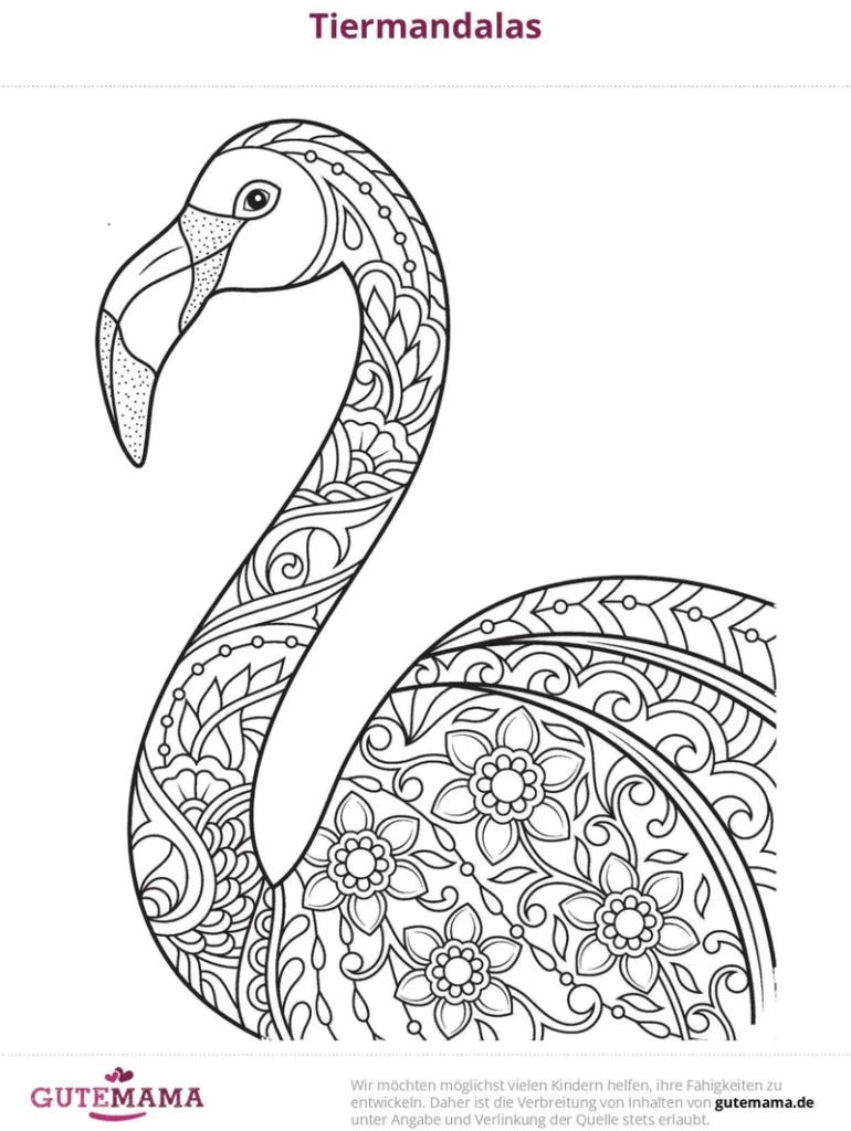 malvorlage-flamingo-mandala-mit-floralen-mustern