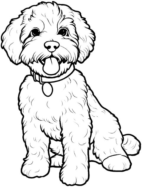 malvorlage-flauschiger-hund-ausmalbild