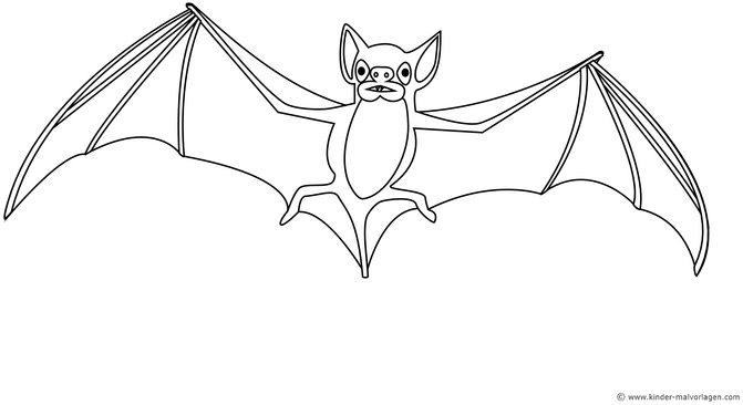 malvorlage-fledermaus-ausmalen-kinder