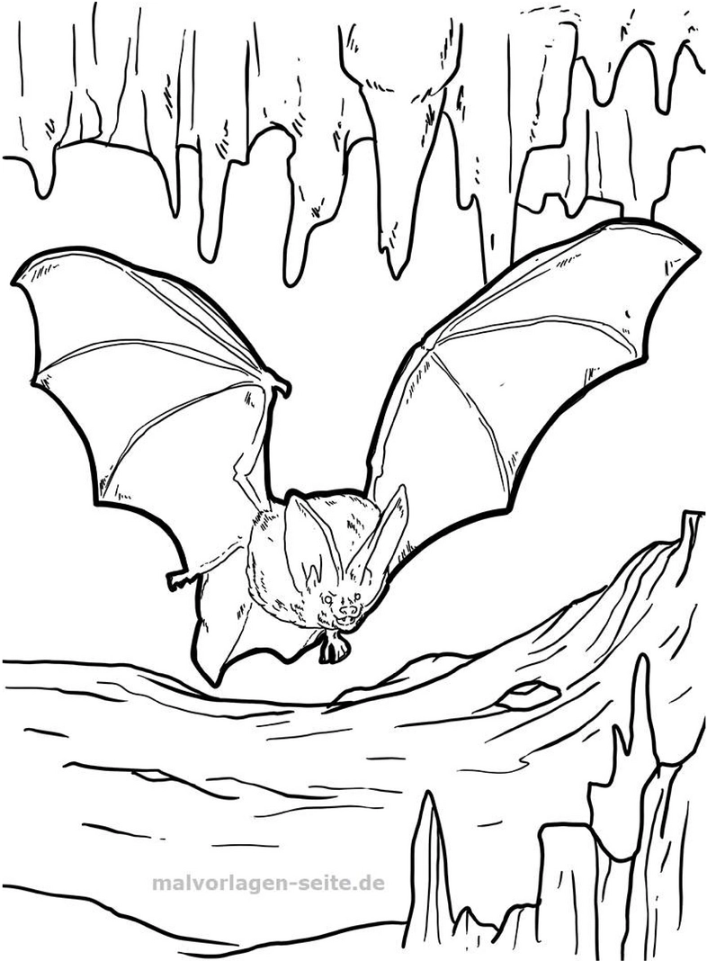 malvorlage-fledermaus-in-hoehle