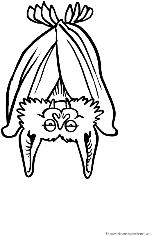 malvorlage-fledermaus-kopfueber-ausmalen