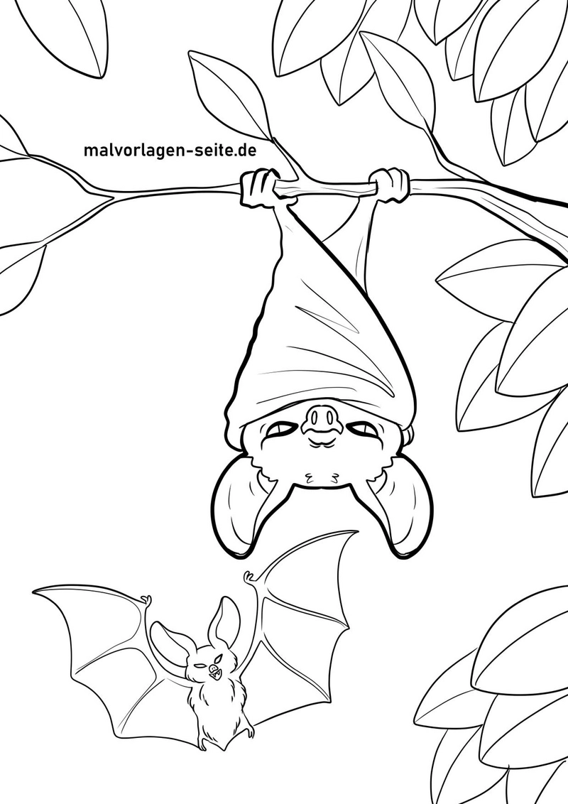 malvorlage-fledermaus-kreatives-ausmalen