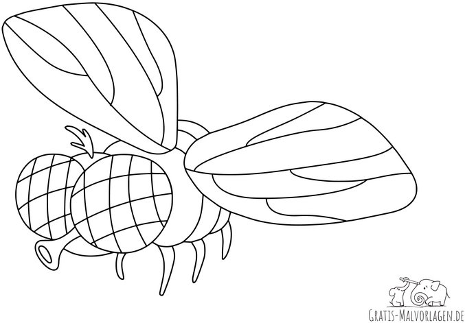 malvorlage-fliege-fuer-kreative-ausmalstunden