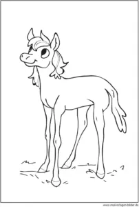 malvorlage-fohlen-zum-ausmalen