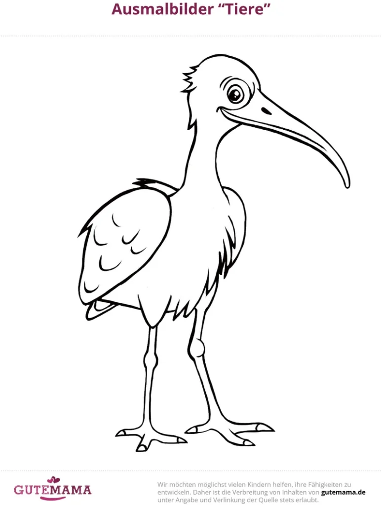 malvorlage-froehlicher-vogel-ausmalen