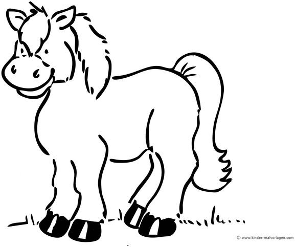 malvorlage-froehliches-pferd-auf-wiese