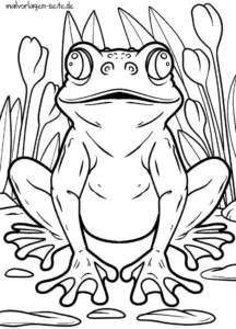 malvorlage-frosch-in-der-natur
