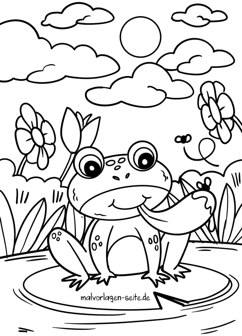 malvorlage-frosch-mit-seerosen-und-blumen