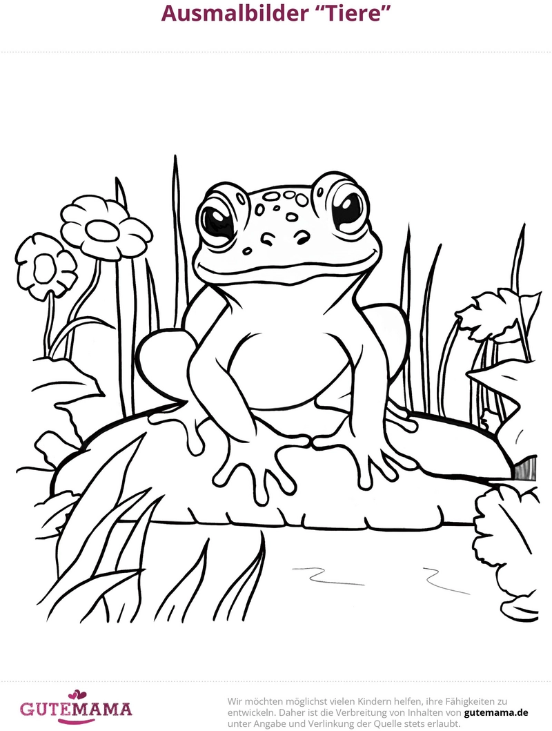 malvorlage-frosch-und-natur-mit-blumen
