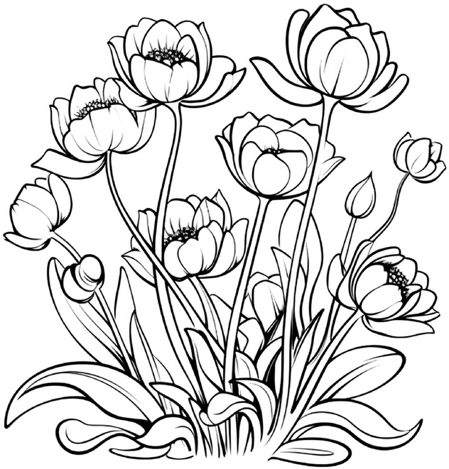 malvorlage-fruehlingsblumen-ausmalen