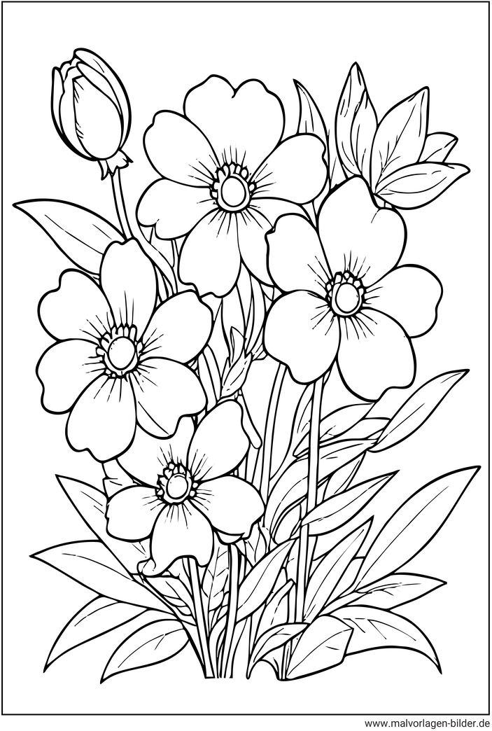 malvorlage-fruehlingsblumen-ausmalen