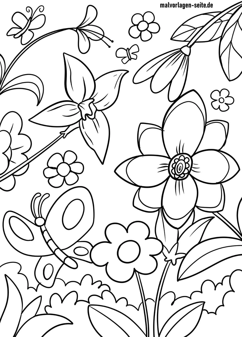 malvorlage-fruehlingsblumen-und-schmetterlinge