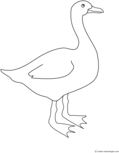 malvorlage-gans-ausmalen