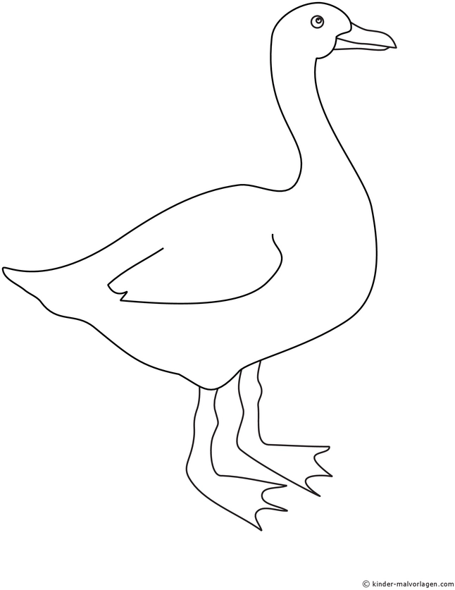 malvorlage-gans-ausmalen