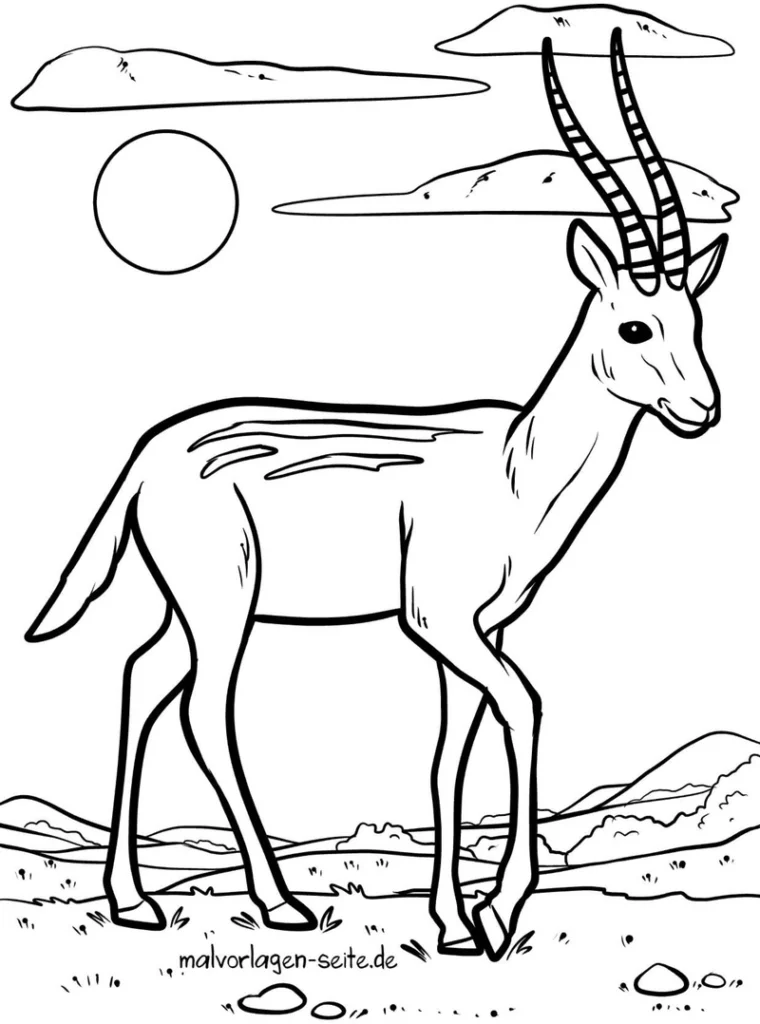 malvorlage-gazelle-in-der-natur