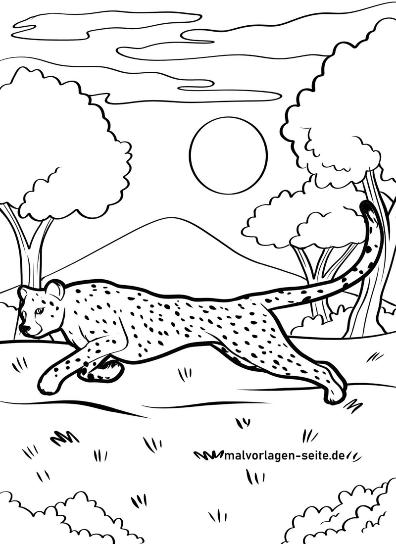 malvorlage-gepard-in-der-natur
