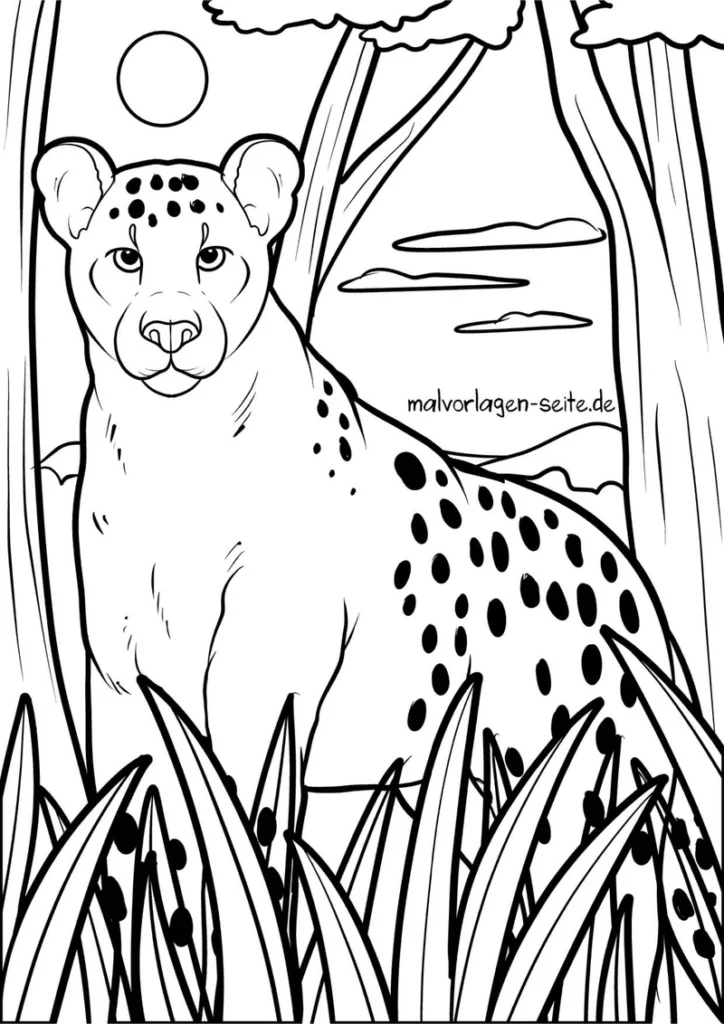 malvorlage-gepard-in-der-natur