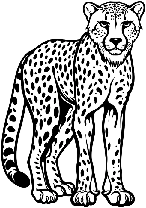 malvorlage-gepard-mit-fakten-ueber-wildtiere