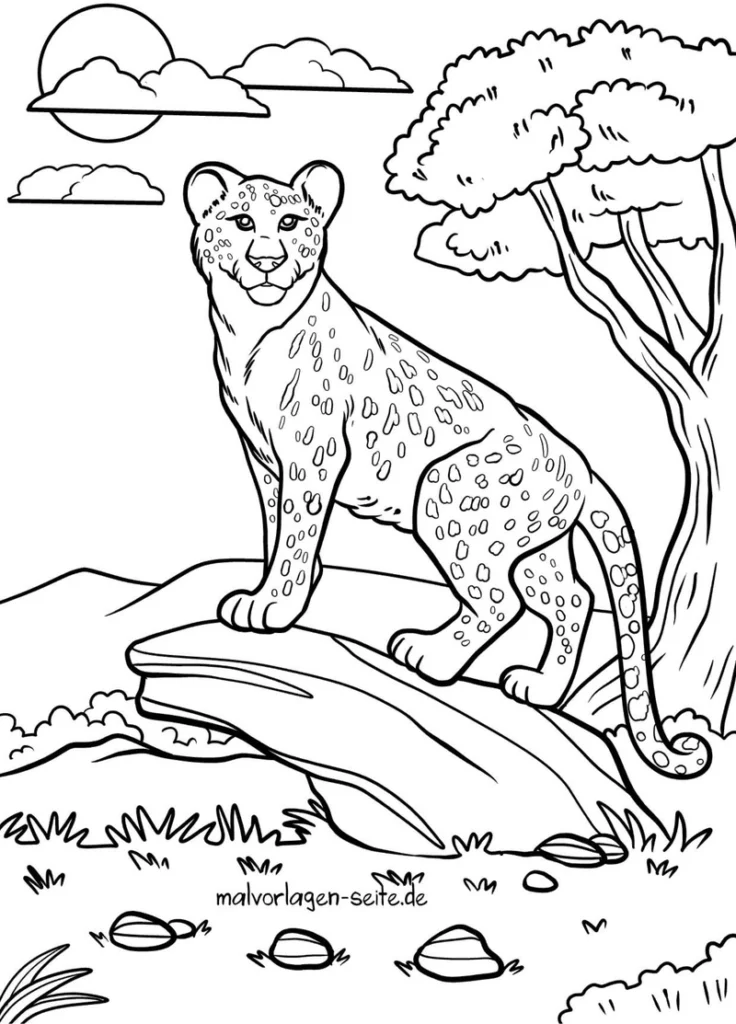 malvorlage-gepard-naturmotv