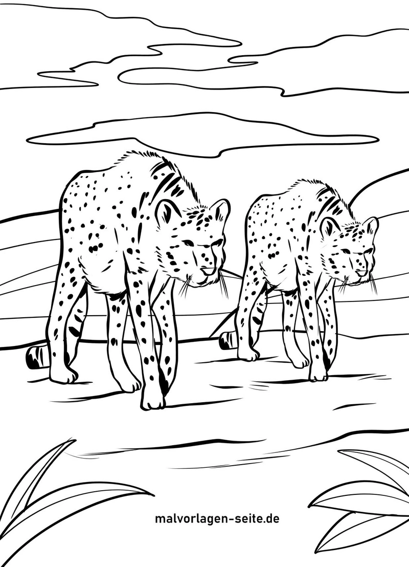 malvorlage-geparden-in-der-savanne