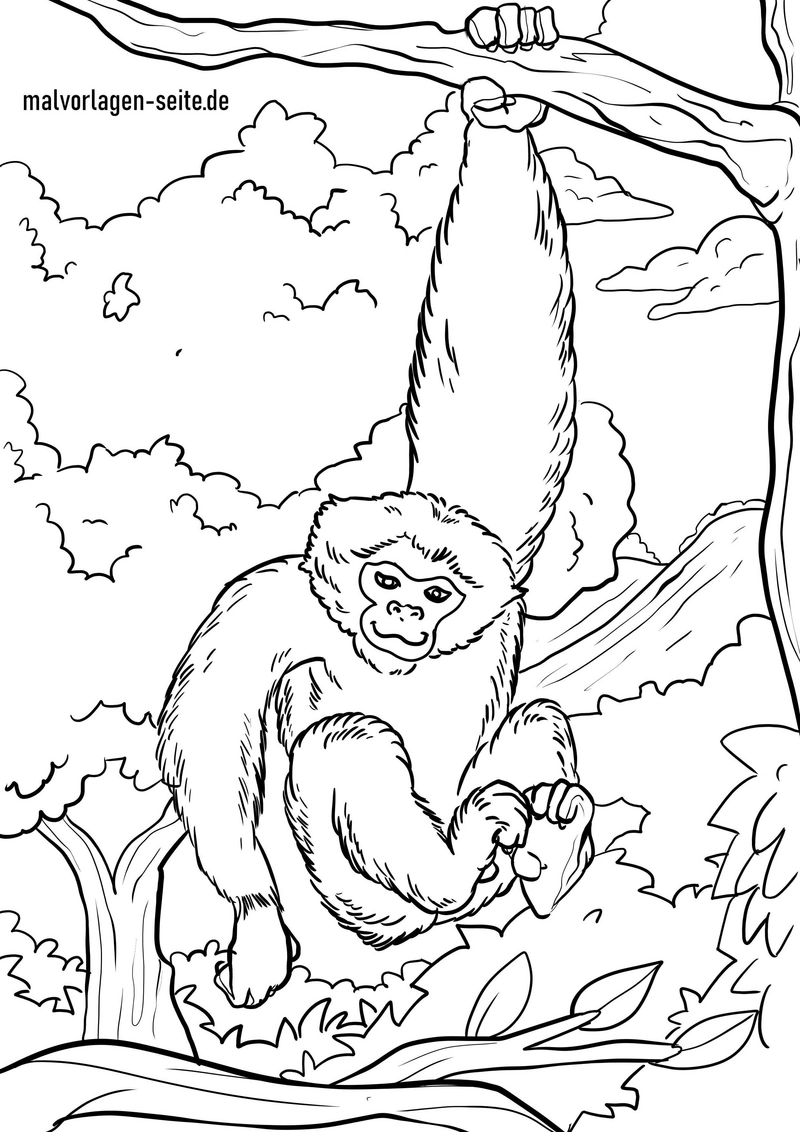 malvorlage-gibbon-im-baum-ausmalbild-fuer-kinder