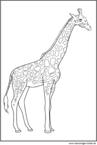 malvorlage-giraffe-ausmalen