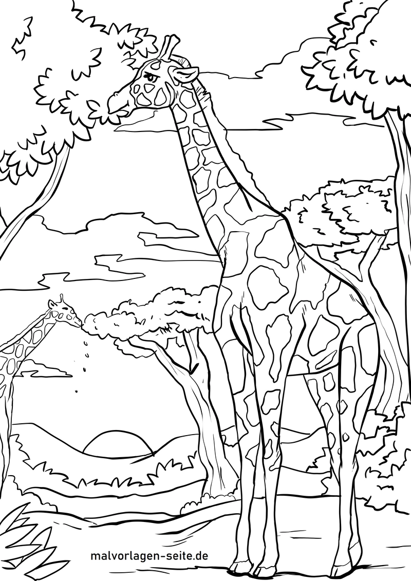 malvorlage-giraffe-in-der-natur-und-baeume