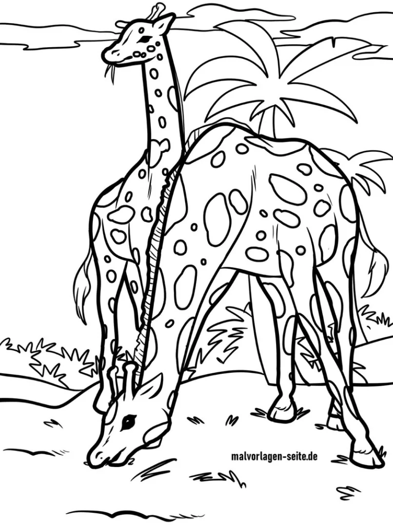 malvorlage-giraffen-in-der-natur