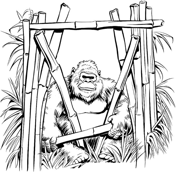 malvorlage-gorilla-im-bambuswald