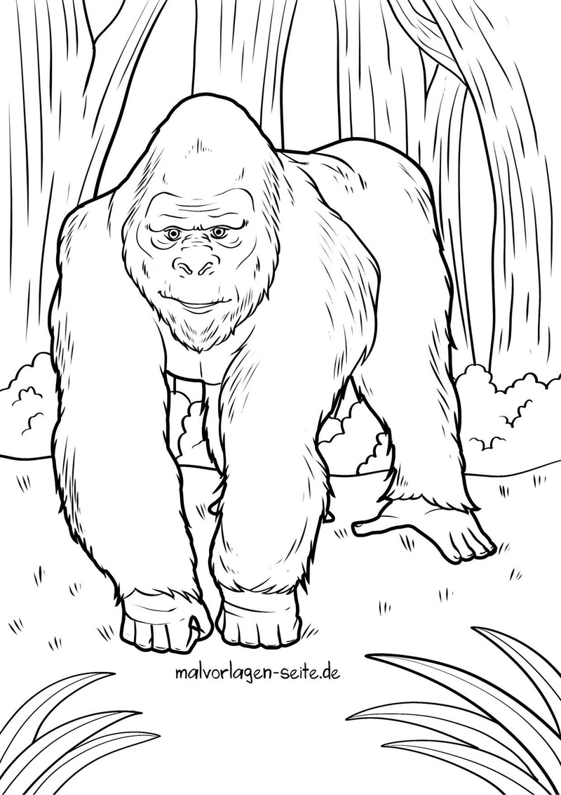 malvorlage-gorilla-in-der-natur