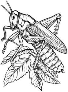 malvorlage-grille-auf-blatt