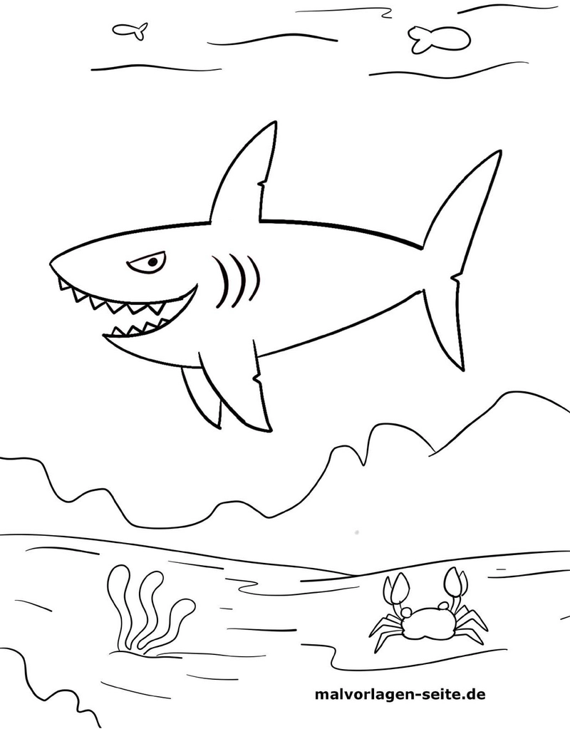 malvorlage-hai-im-ozean-mit-fischen-und-krabbe