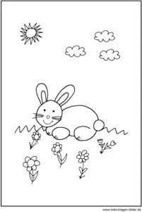 malvorlage-hase-auf-wiese