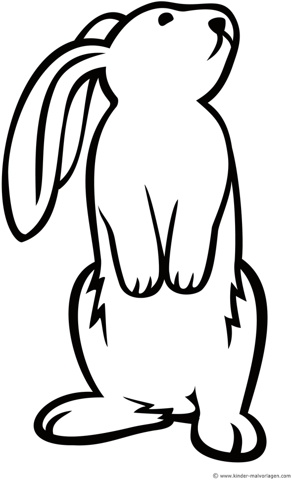 malvorlage-hase-aufrecht-stehend