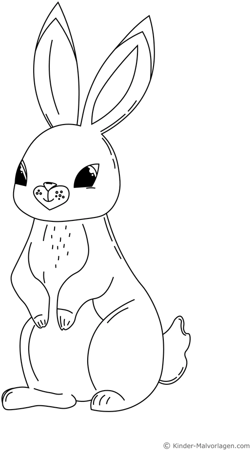 malvorlage-hase-grosse-ohren-suesse-pose