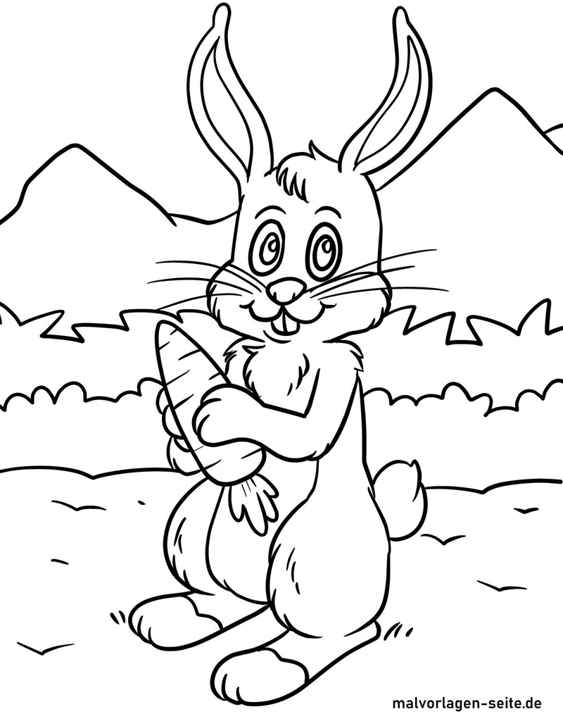 malvorlage-hase-in-landschaft-mit-karotte