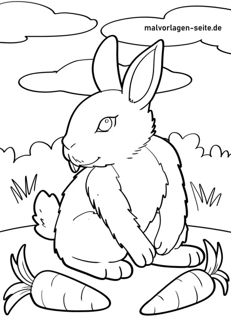 malvorlage-hase-karotten-natur