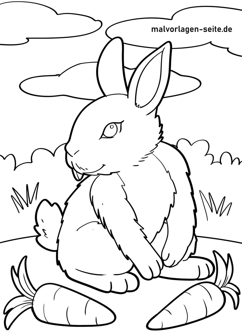 malvorlage-hase-karotten-natur