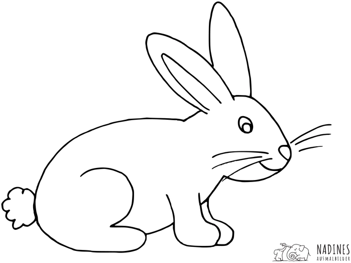 malvorlage-hase-mit-langen-ohren-und-flauschigem-schwanz
