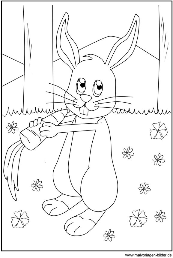 malvorlage-hase-natur-mit-wasserflasche