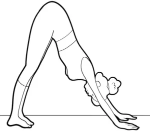 malvorlage-herabschauender-hund-yoga