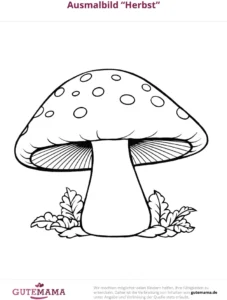 malvorlage-herbst-fliegenpilz-ausmalbild
