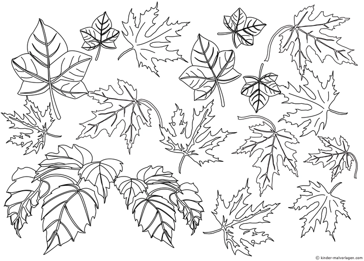 malvorlage-herbstlaub-blaetter-zum-ausmalen
