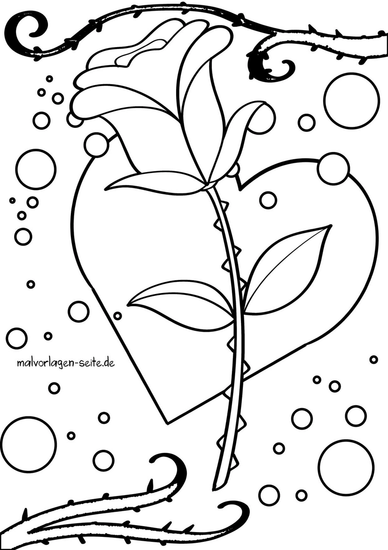 malvorlage-herz-mit-rose-und-bubbles