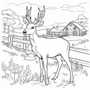 malvorlage-hirsch-im-laendlichen-umfeld