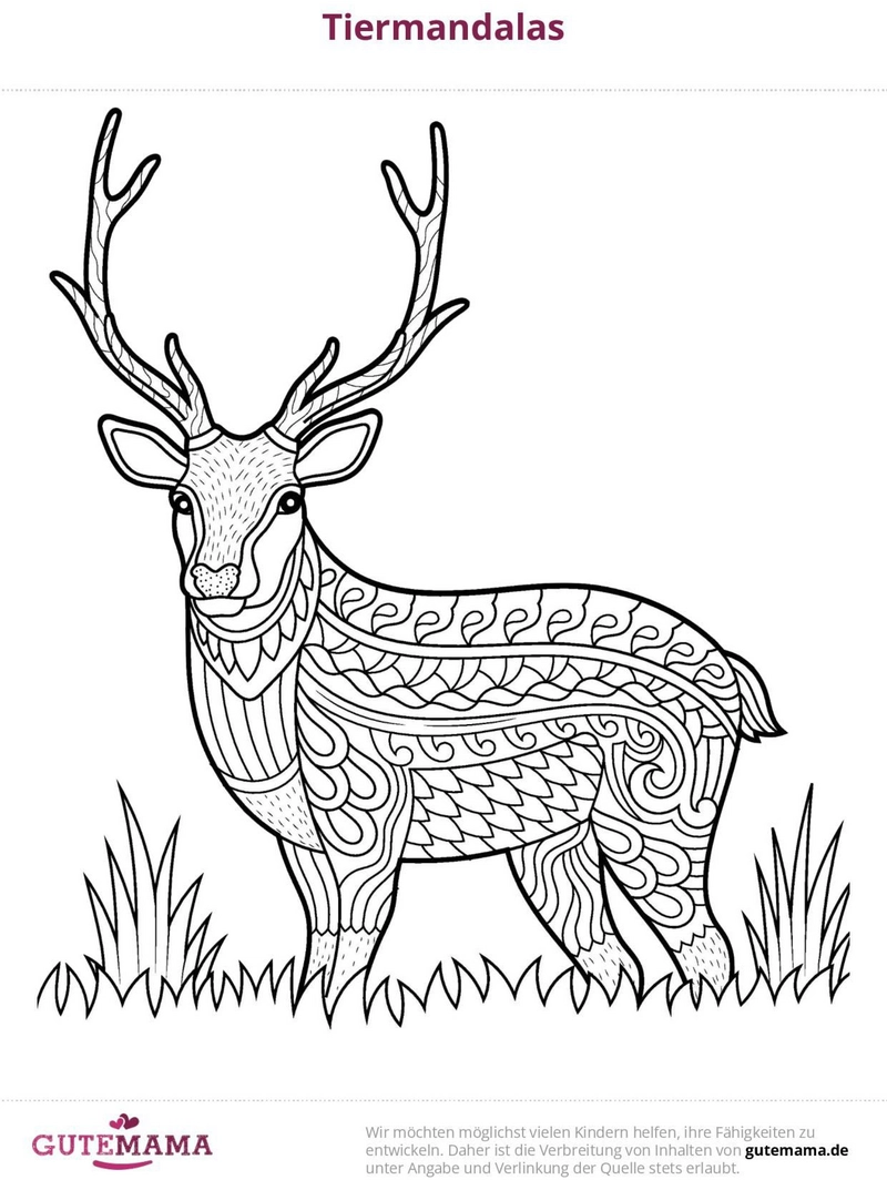 malvorlage-hirsch-mandala-zum-ausmalen